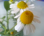 c0115336_1511684.jpg