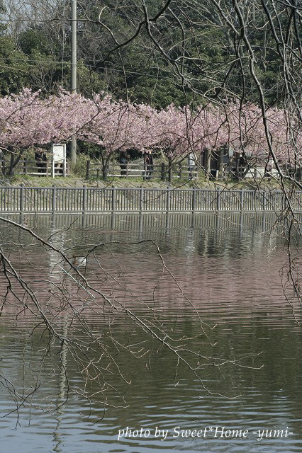 c0083439_2371848.jpg