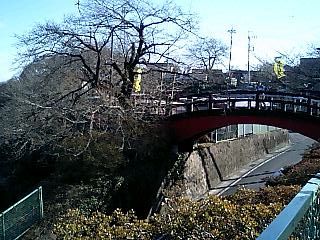 a0014141_17471575.jpg