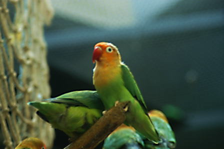 c0031856_195887.jpg