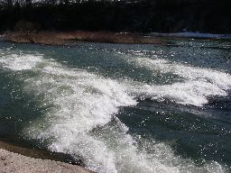 d0043161_21152163.jpg