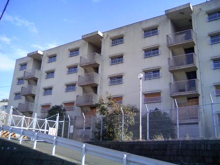 c0099967_074723.jpg