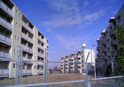 c0099967_09171.jpg