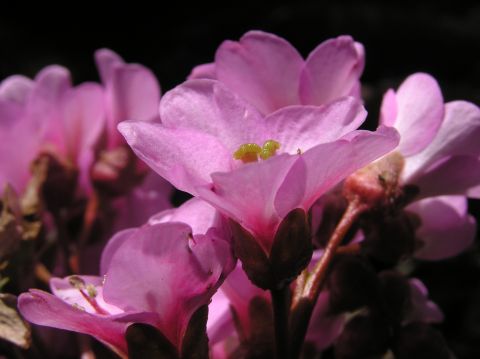 c0042869_21281621.jpg