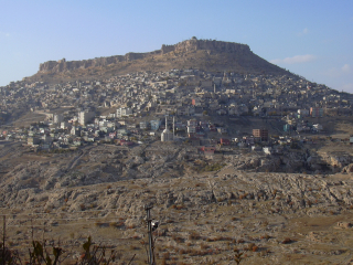 f0058691_0242438.jpg