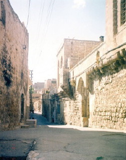 f0058691_029735.jpg