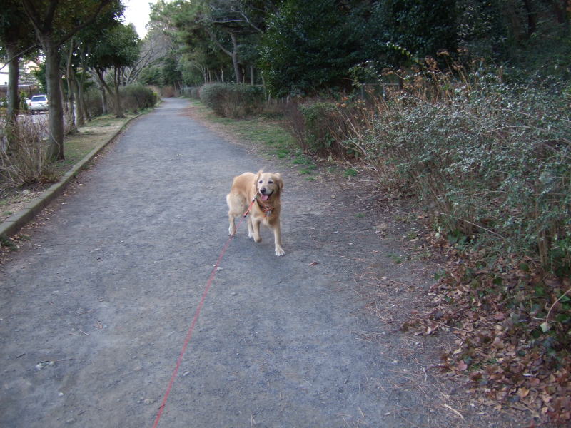 c0104492_061475.jpg