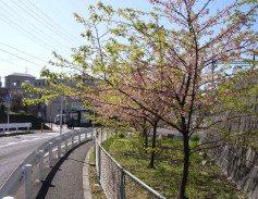 c0008598_9553028.jpg