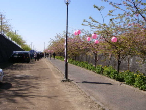 c0008598_9595267.jpg