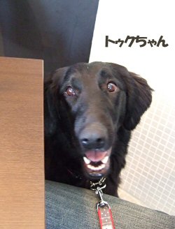 c0050400_22474988.jpg