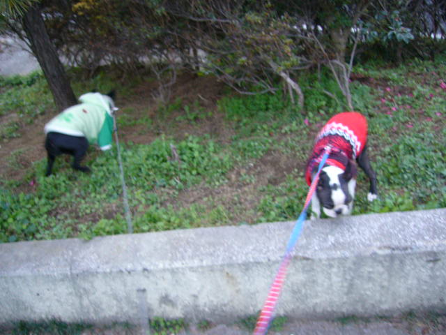d0070702_2464354.jpg