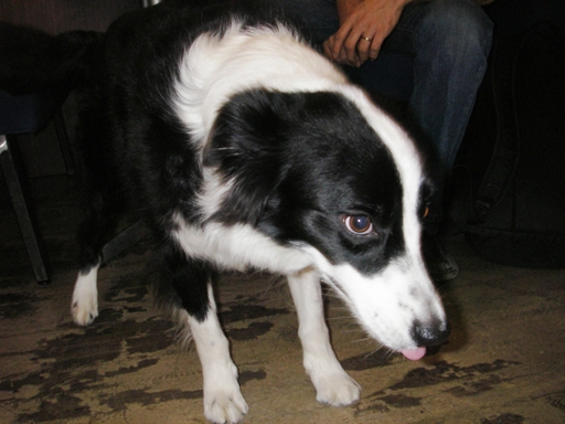 f0034602_202253.jpg