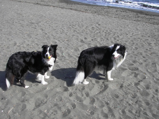 f0034602_2051895.jpg