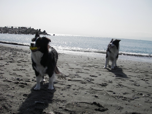 f0034602_2061761.jpg