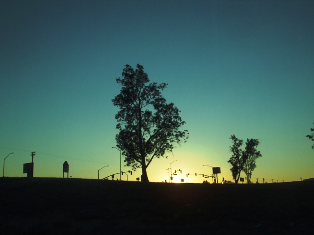 c0062603_16572913.jpg