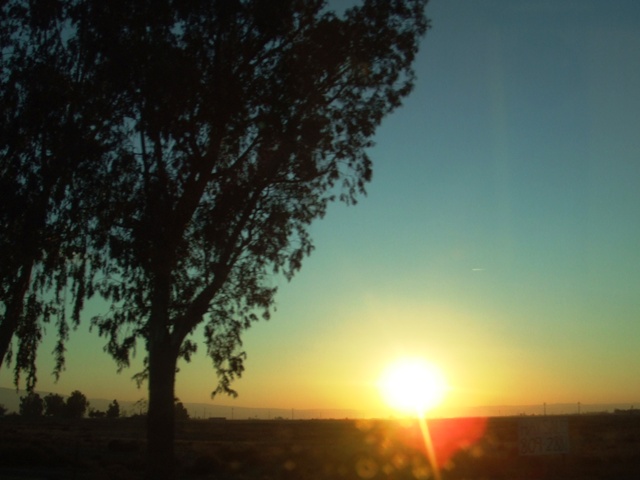 c0062603_16575335.jpg
