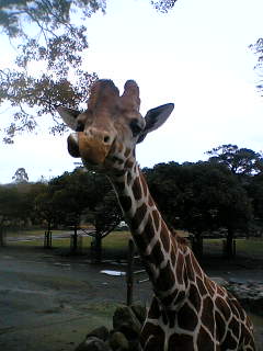 c0032006_23383667.jpg