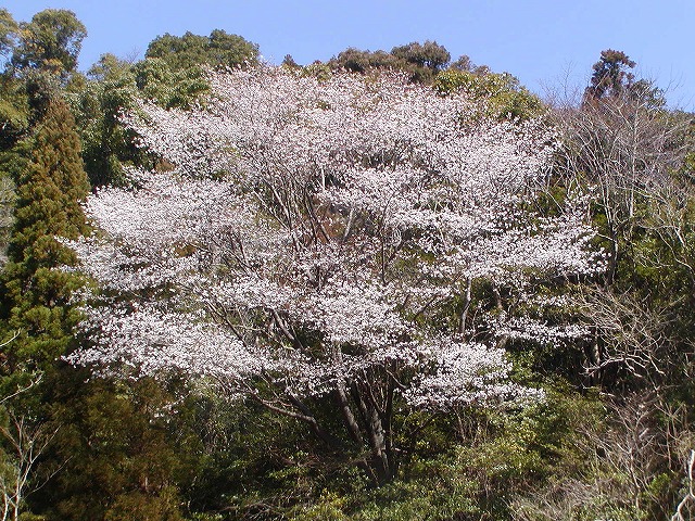 d0037110_13235813.jpg