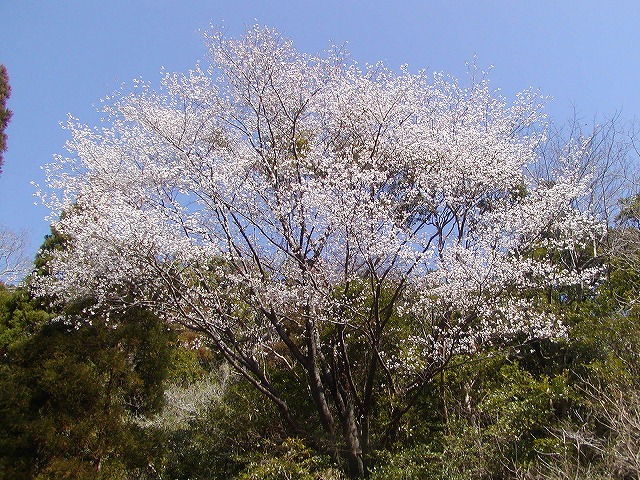 d0037110_13241014.jpg