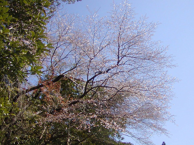 d0037110_13244593.jpg