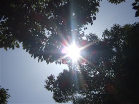 f0028132_17314190.jpg