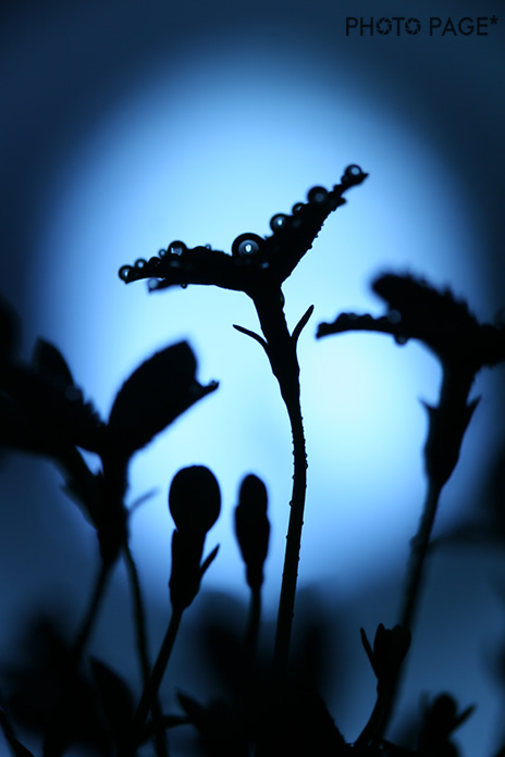 b0063234_23482448.jpg