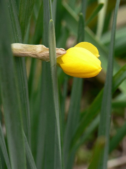 e0083238_2318918.jpg