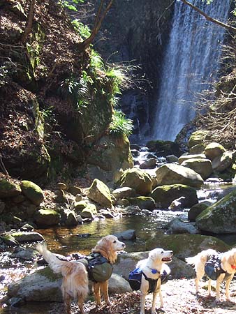 c0097558_1255421.jpg