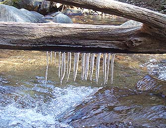 c0097558_1264378.jpg