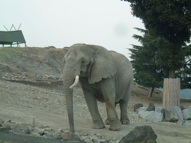 e0092467_23394926.jpg