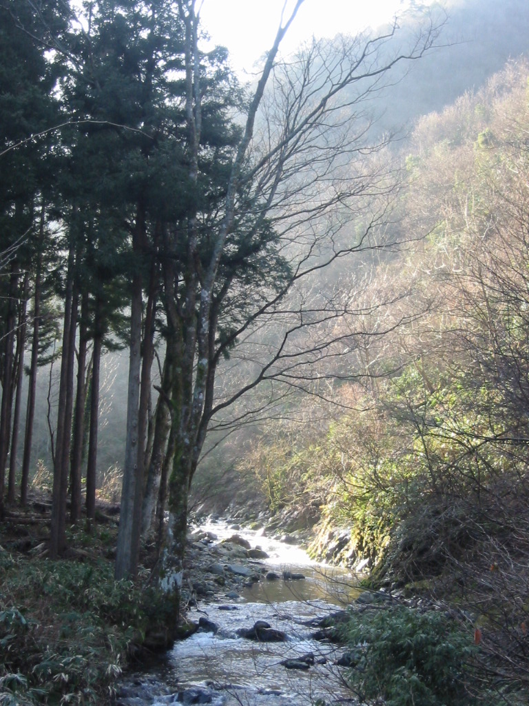 d0094868_1121552.jpg