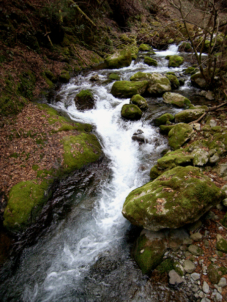 f0052269_18104196.jpg