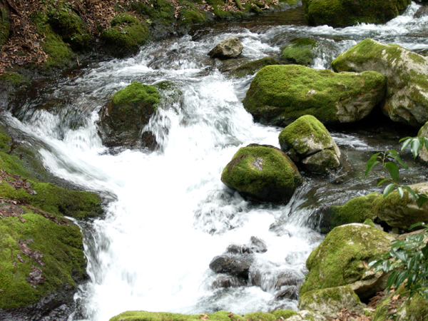 f0052269_18105430.jpg