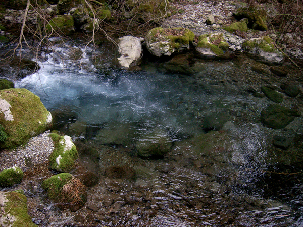 f0052269_1811626.jpg