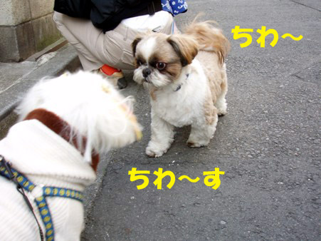 b0060071_083749.jpg