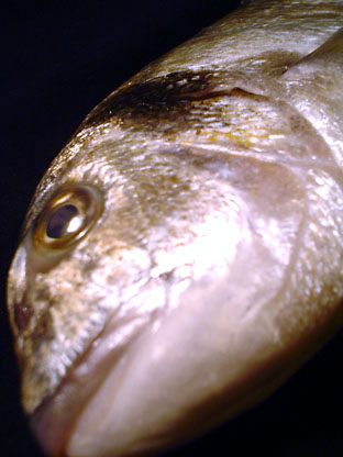 f0056476_1023578.jpg