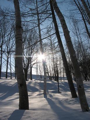 c0052779_21445157.jpg