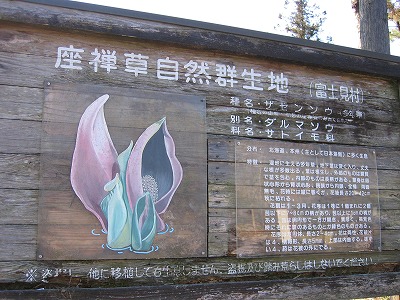 a0038882_1127649.jpg