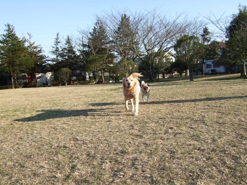 c0104492_22445267.jpg