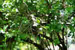 f0085495_022093.jpg