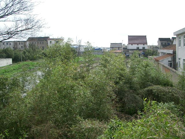 d0090300_21394785.jpg