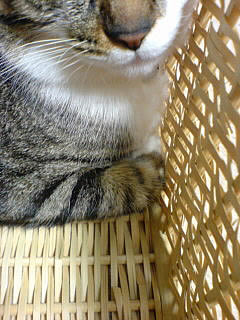c0035001_17142692.jpg