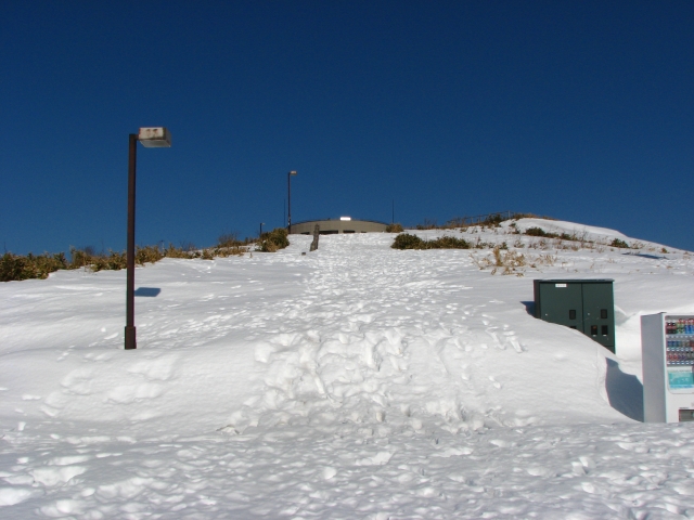 f0020302_2101454.jpg