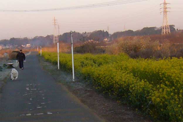 e0018604_16554217.jpg