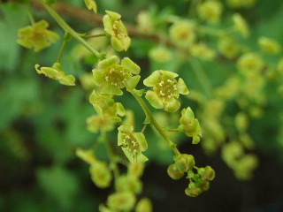 f0041606_20452099.jpg