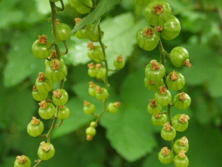 f0041606_20453963.jpg