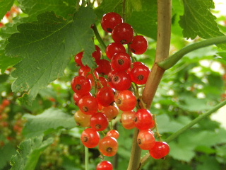 f0041606_20471068.jpg