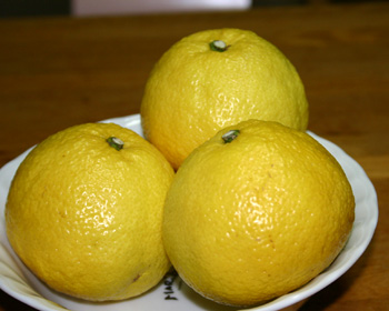a0041108_20114045.jpg