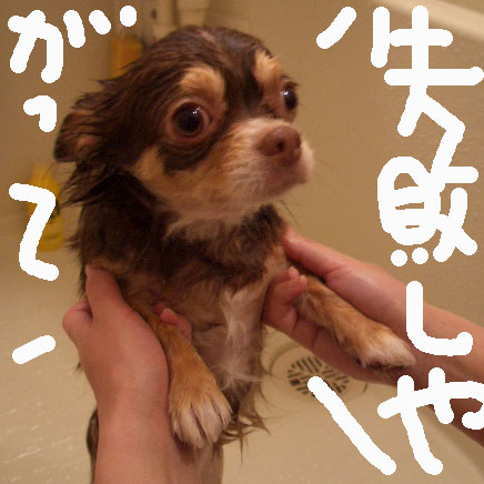 c0036617_19144431.jpg