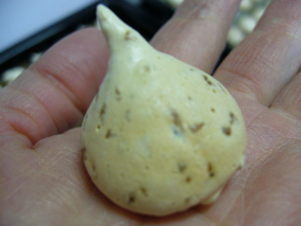 d0087418_0421742.jpg